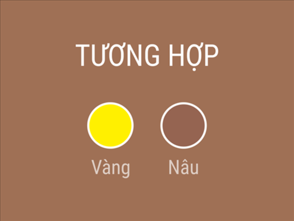 Sinh năm 2007 hợp màu gì