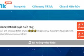 TikTok downloader at DownTik