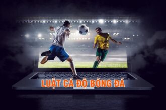 Cá độ bóng đá là gì?