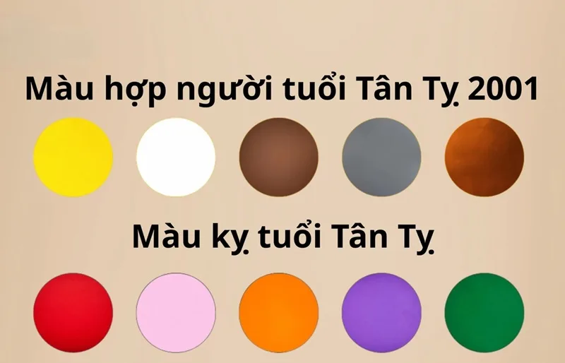 2001 hop mau gi