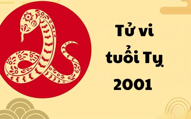 2001 hop mau gi